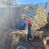 photo de livraison pour ADAN TETOUAN