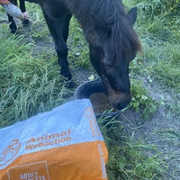 photo de livraison pour Espoir au Galop