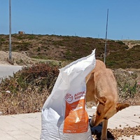 photo de livraison pour Sanctuaire de la Faune de Tanger (SFT)