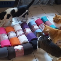 photo de livraison pour Une Maison pour la Vie