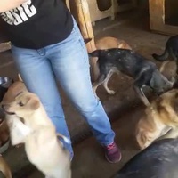 photo de livraison pour Prieten Credincios