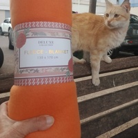 photo de livraison pour Les Chats-Pitresdelavi-Ste