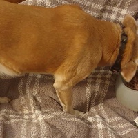 photo de livraison pour AVRAH