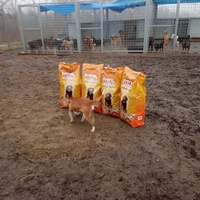 photo de livraison pour Association for the protection of animals "BAK"