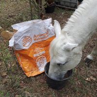 photo de livraison pour Equi-Libre : Droit à la Retraite Equine