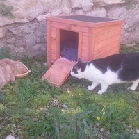photo de livraison pour Ecole du Chat d’Arbois