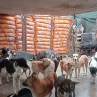 photo de livraison pour ADAN TETOUAN