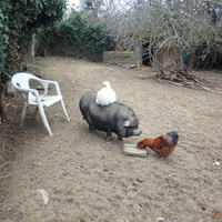 photo de livraison pour Unicorn's Dream