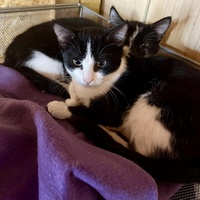 photo de livraison pour L'Arche de Ploum