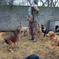 photo de livraison pour Svetlana Bjelogrlic