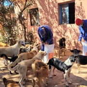 photo de livraison pour UMPA