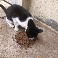 photo de livraison pour Hajar Aourz