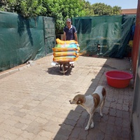 photo de livraison pour Comme Chiens et Chats Maroc