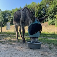 photo de livraison pour ADADA