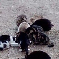 photo de livraison pour Refuge du Poil à la Plume