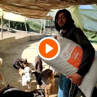 photo de livraison pour Sanctuaire de la Faune de Tanger (SFT)