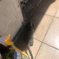 photo de livraison pour Hajar Aourz