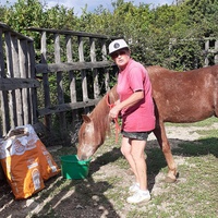 photo de livraison pour Association hippique du Caroux