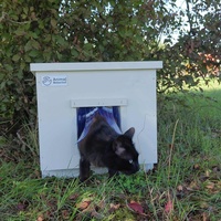 photo de livraison pour Les Chats de la Rue