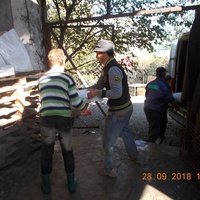 photo de livraison pour Pro Animals Finland ry