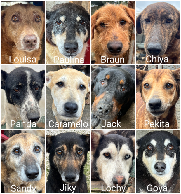 %%%