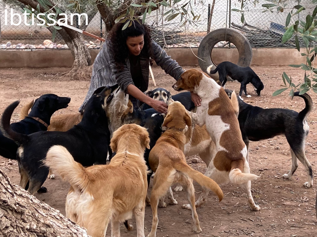 Ibtissam and her dogs