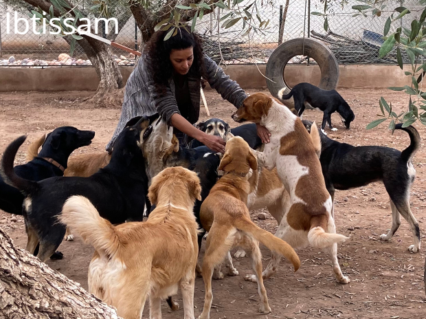 Ibtissam et ses chiens###